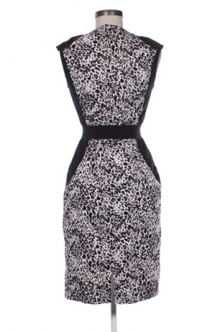 Φόρεμα Eleonora Amadei, Μέγεθος L, Χρώμα Πολύχρωμο, Τιμή 4,80 €