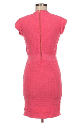 Šaty  French Connection, Veľkosť XL, Farba Ružová, Cena  14,95 €