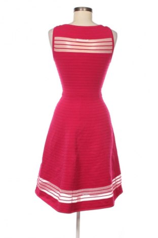 Kleid French Connection, Größe XS, Farbe Rosa, Preis 9,99 €