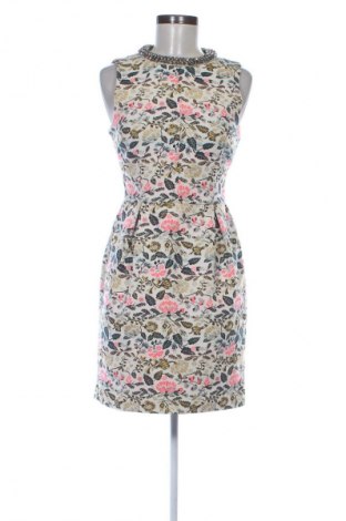 Φόρεμα Oasis, Μέγεθος XS, Χρώμα Πολύχρωμο, Τιμή 12,99 €