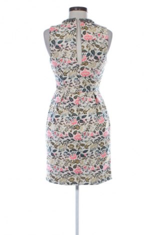 Φόρεμα Oasis, Μέγεθος XS, Χρώμα Πολύχρωμο, Τιμή 12,99 €