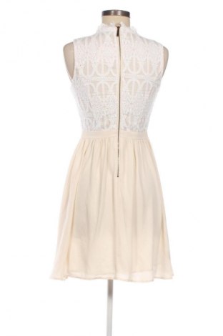 Φόρεμα Oasis, Μέγεθος S, Χρώμα Πολύχρωμο, Τιμή 14,99 €