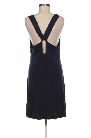 Sukienka Zign, Rozmiar XL, Kolor Niebieski, Cena 96,99 zł