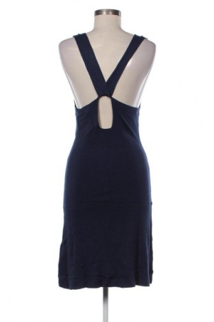 Sukienka Zign, Rozmiar S, Kolor Niebieski, Cena 139,99 zł