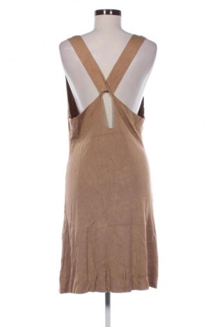 Sukienka Zign, Rozmiar M, Kolor Brązowy, Cena 104,99 zł