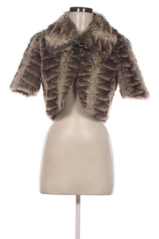 Μπολερό Layers, Μέγεθος M, Χρώμα Πολύχρωμο, Τιμή 32,99 €