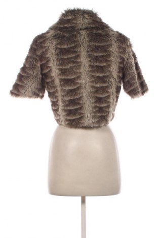 Μπολερό Layers, Μέγεθος M, Χρώμα Πολύχρωμο, Τιμή 32,99 €