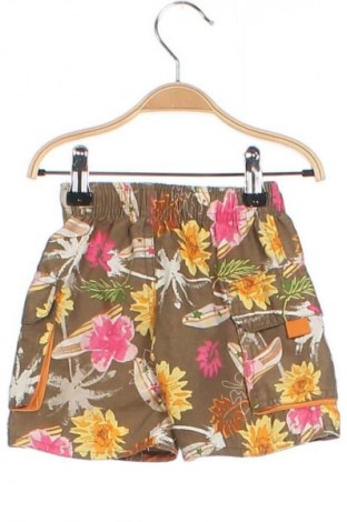 Детски къс панталон Early Days, Размер 6-9m/ 68-74 см, Цвят Многоцветен, Цена 2,04 €