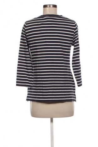 Γυναικεία μπλούζα Editor's Cut, Μέγεθος M, Χρώμα Πολύχρωμο, Τιμή 8,99 €