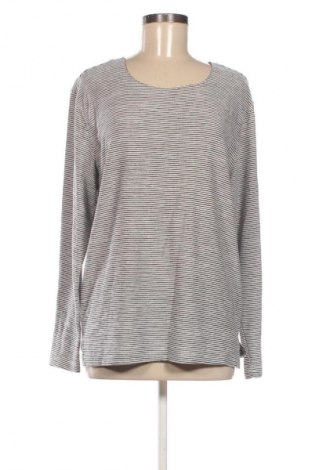 Damen Shirt King Brich, Größe L, Farbe Mehrfarbig, Preis 5,11 €