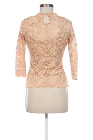 Γυναικεία μπλούζα M.b. 21, Μέγεθος M, Χρώμα Καφέ, Τιμή 1,99 €