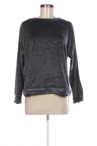 Damen Shirt Terranova, Größe M, Farbe Grau, Preis € 1,99
