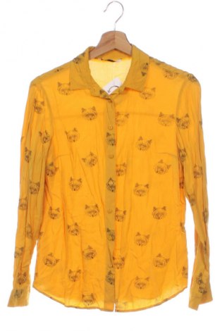 Damska koszula House, Rozmiar XS, Kolor Kolorowy, Cena 13,99 zł