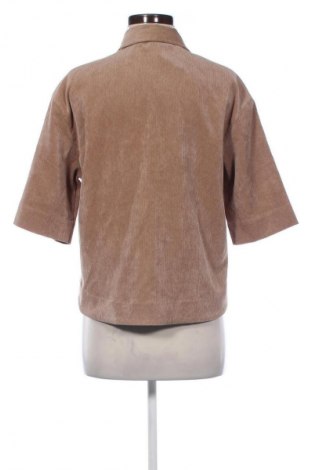 Damska koszula Opus, Rozmiar M, Kolor Brązowy, Cena 105,99 zł
