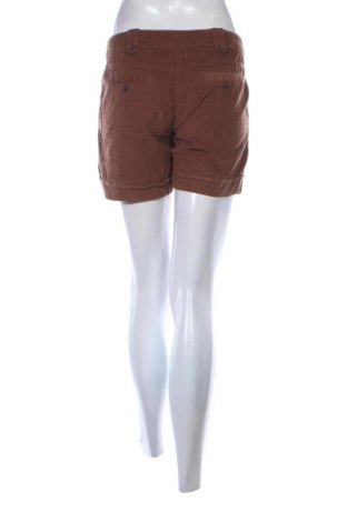 Γυναικείο κοντό παντελόνι Colours Of The World, Μέγεθος M, Χρώμα Καφέ, Τιμή 1,99 €