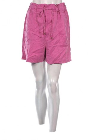 Damen Shorts Kocca, Größe L, Farbe Lila, Preis 16,99 €