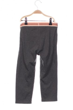 Damskie legginsy Esmara, Rozmiar XS, Kolor Szary, Cena 15,99 zł