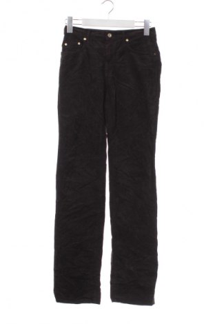 Damskie spodnie Trussardi Jeans, Rozmiar XS, Kolor Brązowy, Cena 182,99 zł