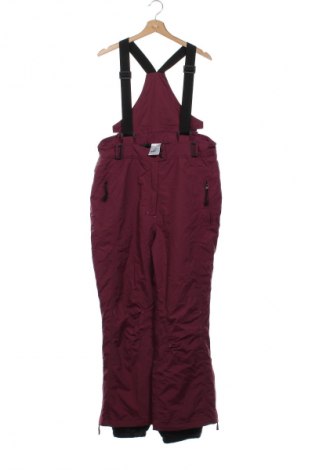 Női nadrág téli sportokhoz Crane, Méret XXL, Szín Lila, Ár 7 649 Ft