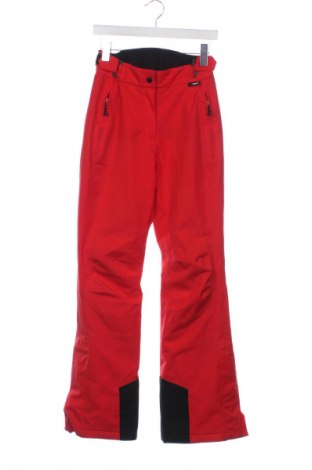Spodnie damskie do uprawiania sportów zimowych Maier Sports, Rozmiar S, Kolor Czerwony, Cena 51,99 zł