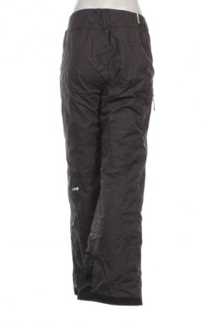 Dámské kalhoty pro zimní sporty  Unbranded, Velikost L, Barva Šedá, Cena  499,00 Kč