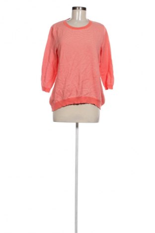 Γυναικείο πουλόβερ Peter Hahn, Μέγεθος XL, Χρώμα Ρόζ , Τιμή 29,99 €