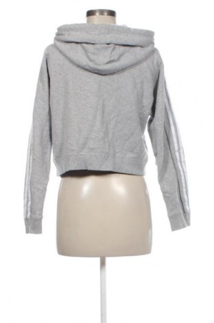 Damen Sweatshirt Adidas Originals, Größe XXS, Farbe Grau, Preis € 10,99