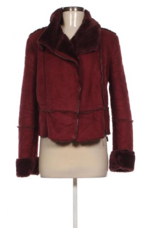 Kurtka damska Motivi, Rozmiar M, Kolor Czerwony, Cena 206,99 zł