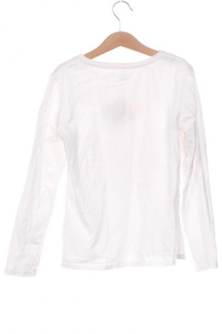 Παιδική μπλούζα Idexe, Μέγεθος 9-10y/ 140-146 εκ., Χρώμα Πολύχρωμο, Τιμή 1,99 €