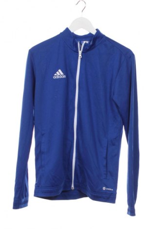 Детска жилетка United Colors Of Benetton, Размер 9-10y/ 140-146 см, Цвят Сив, Цена 12,27 €