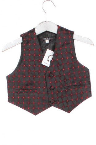 Παιδικό γιλέκο Unbranded, Μέγεθος 9-12m/ 74-80 εκ., Χρώμα Πολύχρωμο, Τιμή 7,75 €