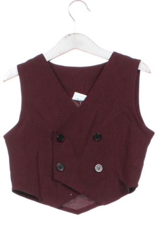 Παιδικό γιλέκο Unbranded, Μέγεθος 3-4y/ 104-110 εκ., Χρώμα Κόκκινο, Τιμή 3,99 €
