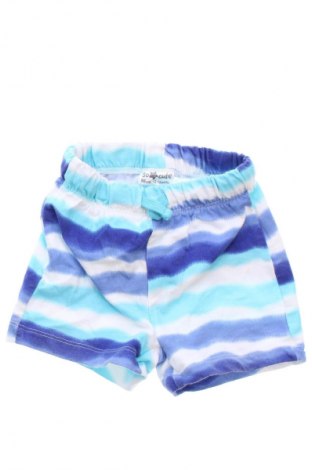 Dziecięce szorty Pepco, Rozmiar 12-18m/ 80-86 cm, Kolor Kolorowy, Cena 6,99 zł