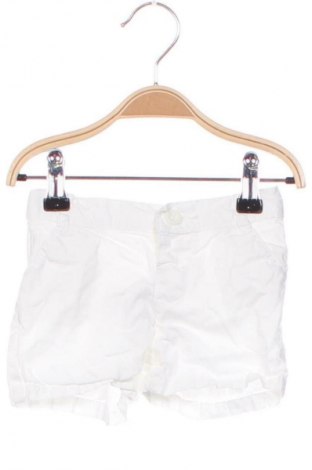 Dziecięce szorty Tex, Rozmiar 2-3m/ 56-62 cm, Kolor Biały, Cena 6,99 zł