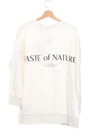 Pánské tričko  Marc O'Polo, Velikost XS, Barva Krémová, Cena  509,00 Kč