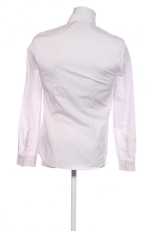 Herrenhemd Calvin Klein, Größe S, Farbe Rosa, Preis € 36,99
