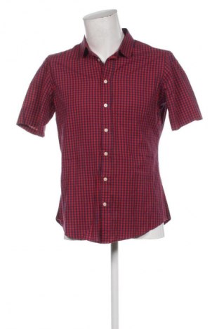 Pánská košile  Piazza Italia, Velikost L, Barva Vícebarevné, Cena  89,00 Kč