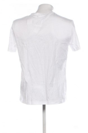 Herren T-Shirt Calvin Klein, Größe L, Farbe Weiß, Preis € 30,99