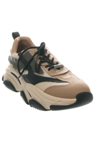 Herrenschuhe Steve Madden, Größe 45, Farbe Mehrfarbig, Preis 62,99 €
