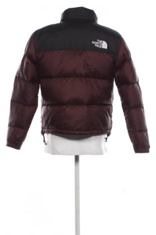 Herrenjacke The North Face, Größe M, Farbe Mehrfarbig, Preis € 172,99