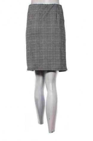 Φούστα Janina, Μέγεθος XL, Χρώμα Πολύχρωμο, Τιμή 6,99 €