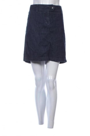Φούστα Loft By Ann Taylor, Μέγεθος L, Χρώμα Μπλέ, Τιμή 4,99 €