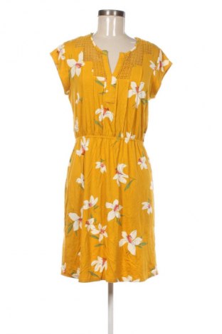 Kleid Daniel Rainn, Größe M, Farbe Mehrfarbig, Preis 25,99 €