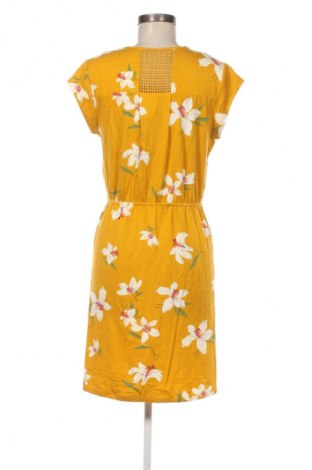 Kleid Daniel Rainn, Größe M, Farbe Mehrfarbig, Preis 25,99 €