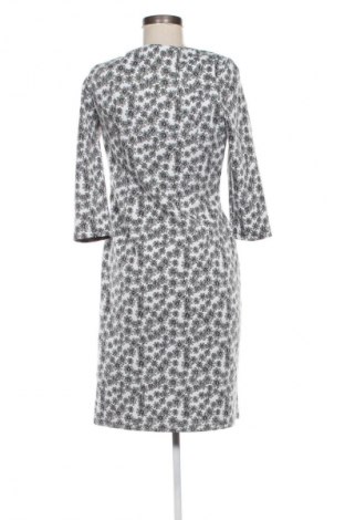 Kleid Phase Eight, Größe M, Farbe Mehrfarbig, Preis 15,98 €