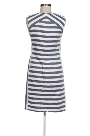 Kleid Phase Eight, Größe M, Farbe Mehrfarbig, Preis 19,99 €