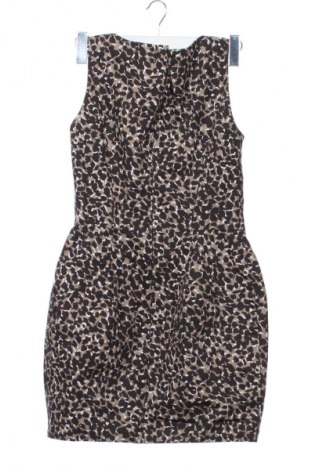 Sukienka Warehouse, Rozmiar M, Kolor Kolorowy, Cena 67,99 zł