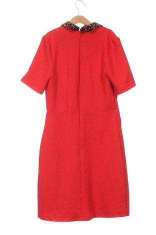 Sukienka Oasis, Rozmiar XS, Kolor Czerwony, Cena 24,99 zł