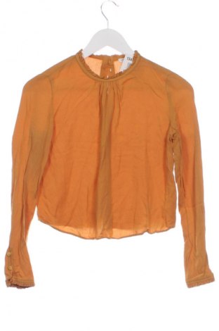 Damen Shirt Bershka, Größe XS, Farbe Gelb, Preis € 5,11