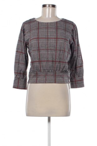 Dámská halenka Clockhouse, Velikost XL, Barva Vícebarevné, Cena  69,00 Kč